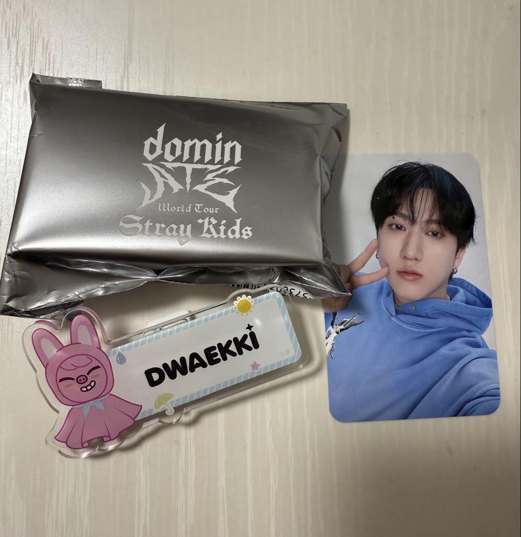 Straykids チャンビン トゥエッキ ランダムネームバッチ トレカ