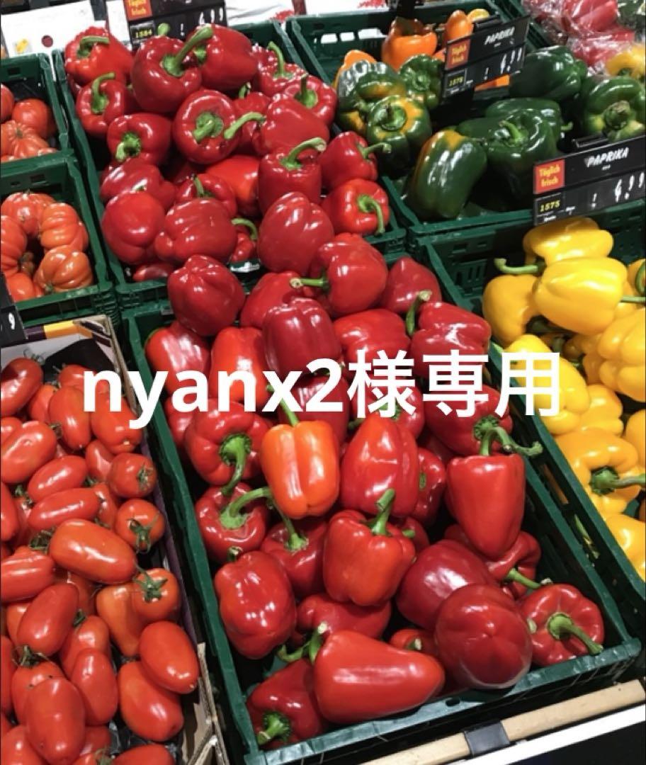 最旬トレンドパンツ 131 新品 夢地哉mujiyaムジヤ黒ブラック綿100%ボトルネック トップス