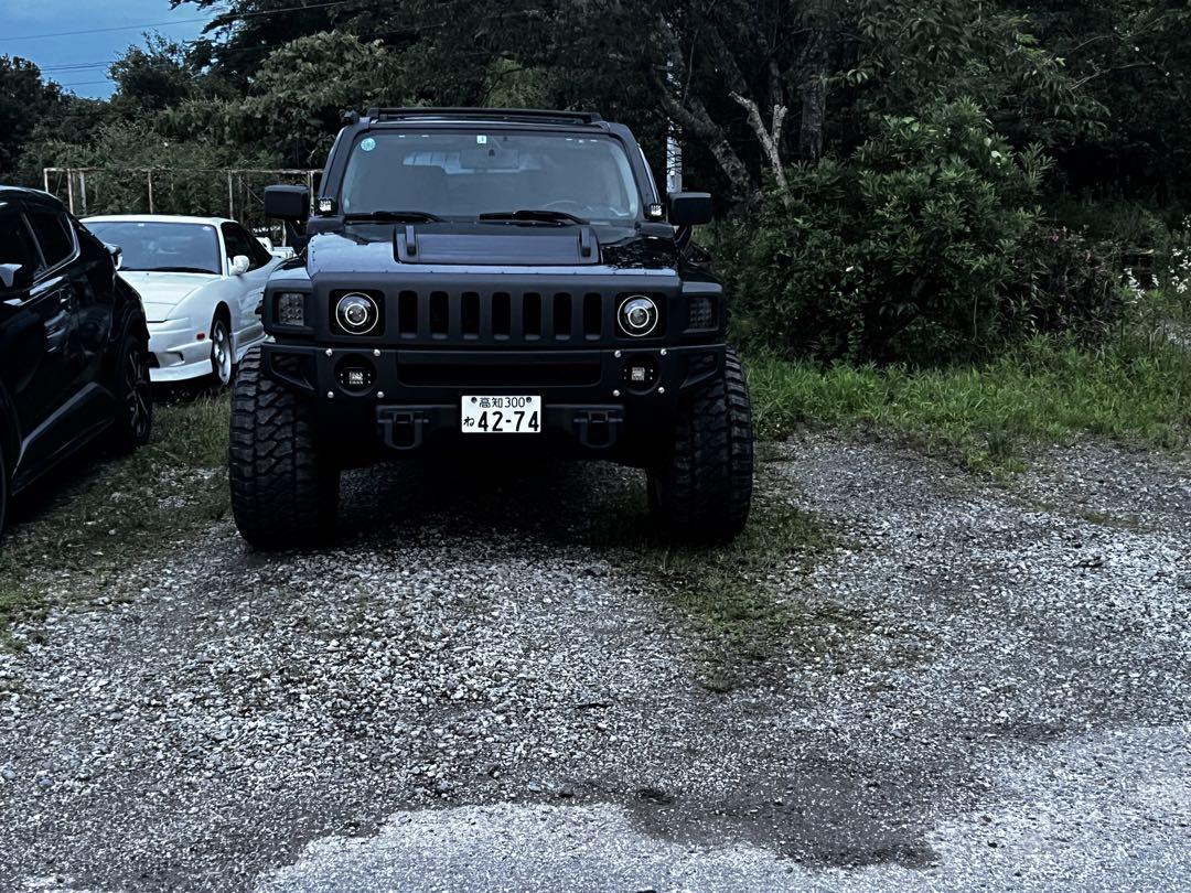 BLACK RHINO