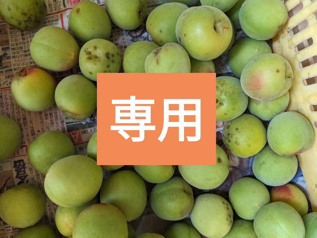 専用　わけあり　和歌山産　南高梅　10Kg