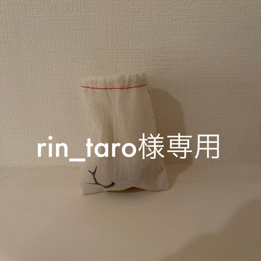 10400円 【時間指定不可】 rin_taro様専用 プリュイ ヘアピアスシルバー