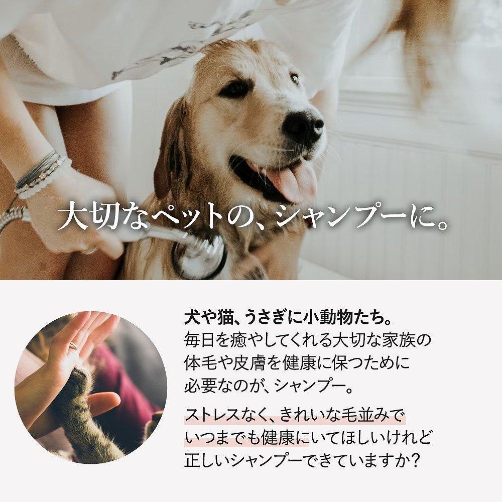 Demiterさん専用