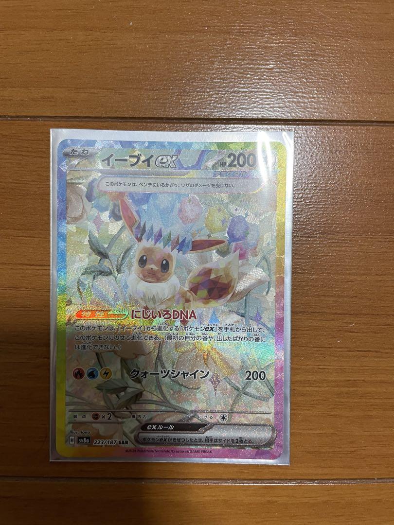 テラスタルフェス