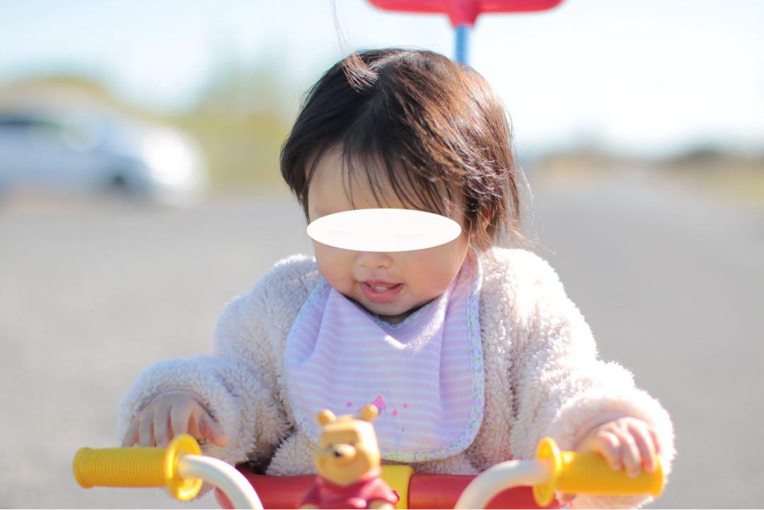 キャノン EF 50mm F 1.2 L USMレンズ おまけ有り CANON
