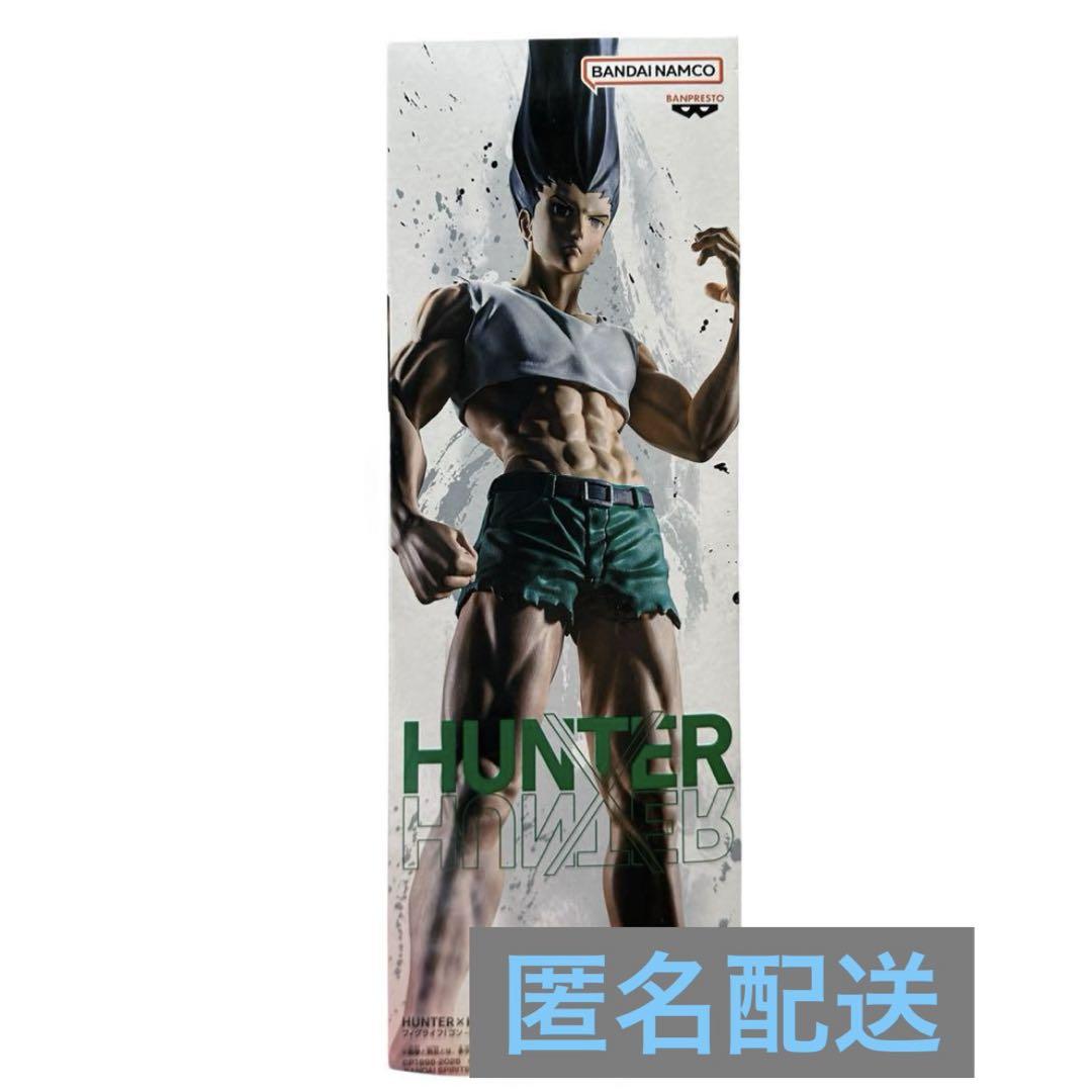HUNTER ☆ HUNTERゴン・フリークス（ゴンさん）フィグライフ