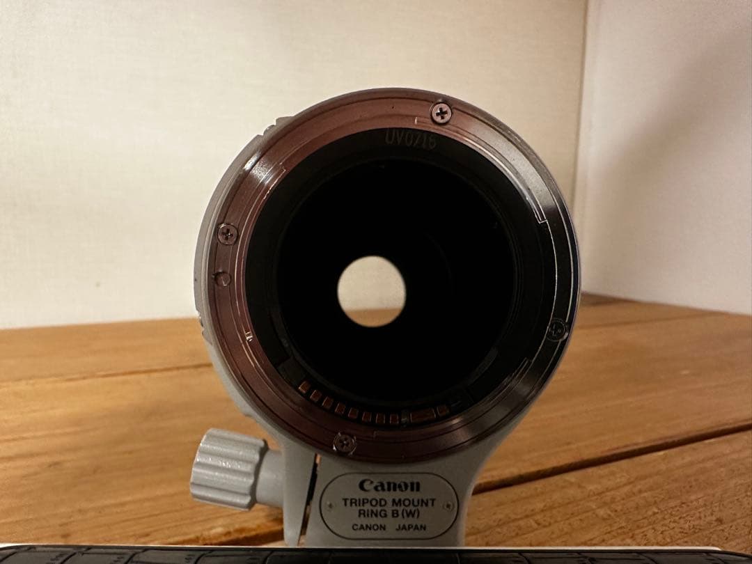 Canon EF 100-400mm f/4.5-5.6L IS USM