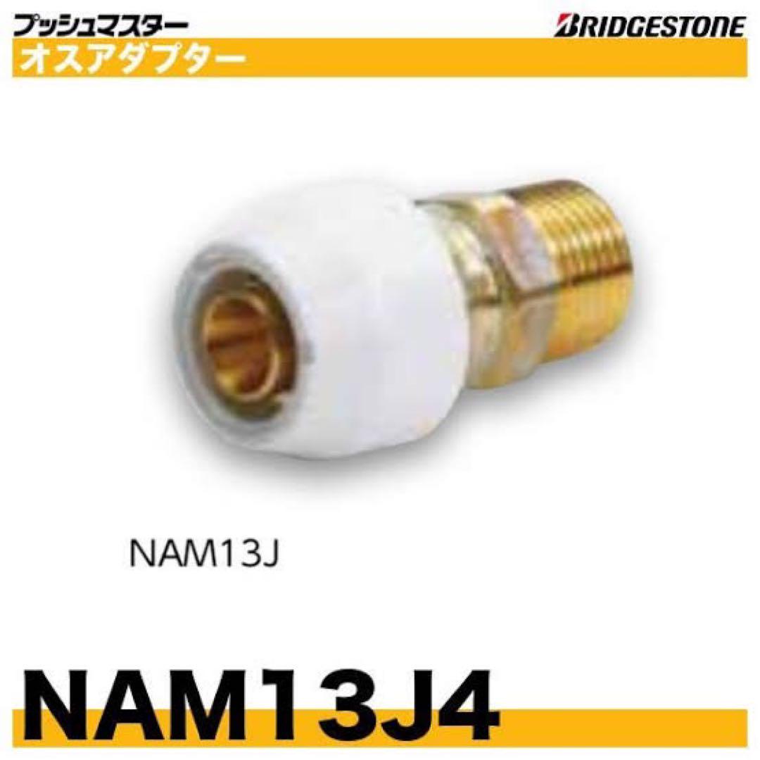 NAM134