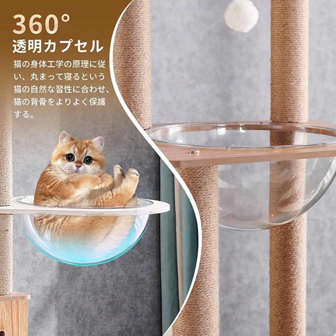 キャットタワー ハンモック 木製 スリムデザイン 大型猫用 老猫 子猫向け