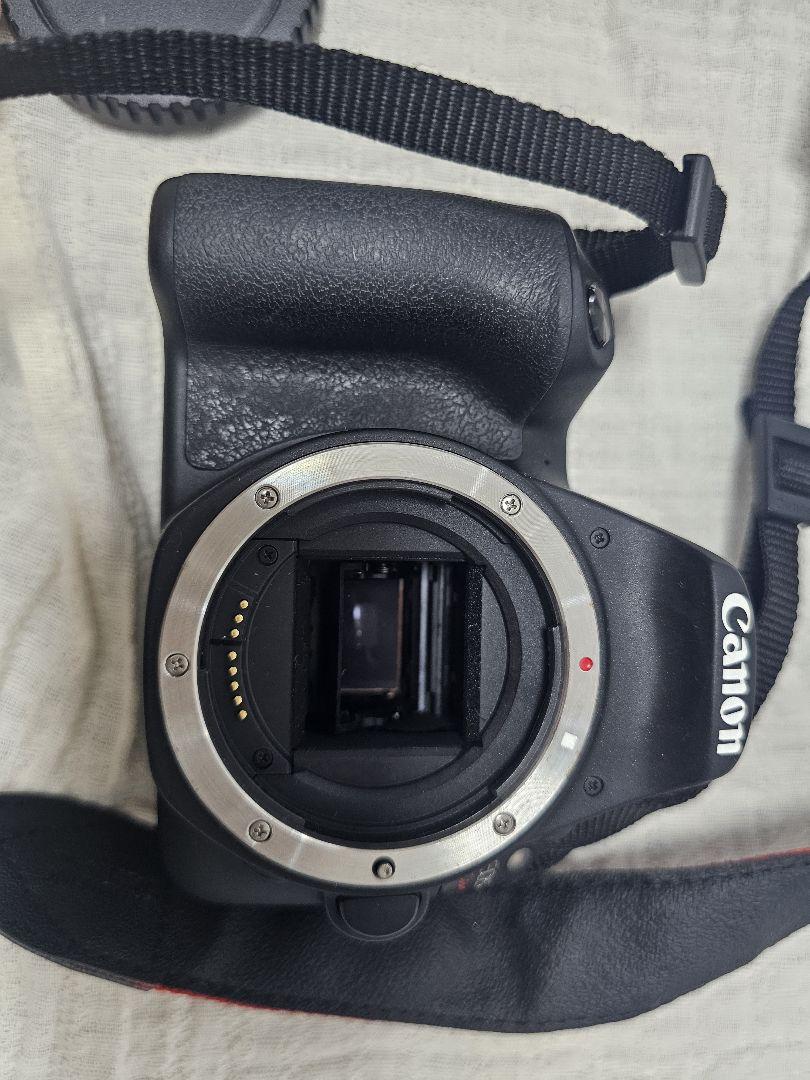 Canon EOS Kiss X9 本体＋レンズ2本