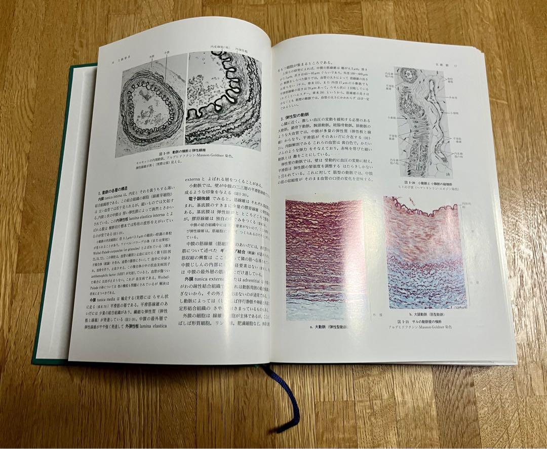 【美品】標準組織学各論