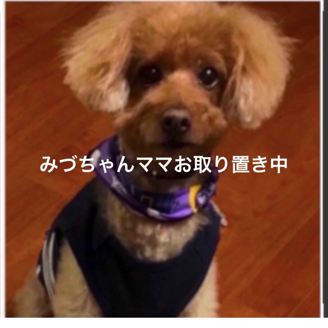 みづちゃんママご専用