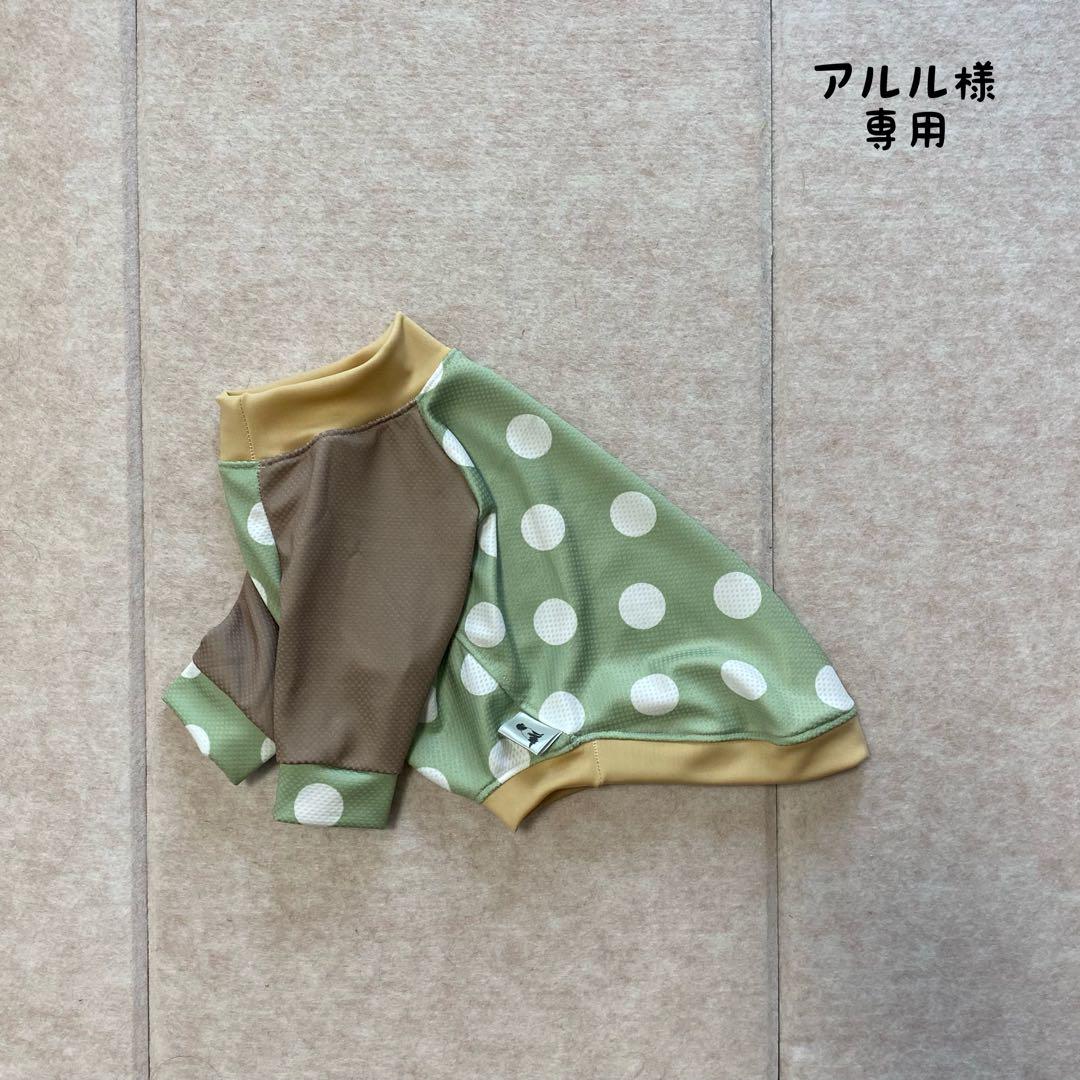 小型犬服 クールラグランT 【専用】