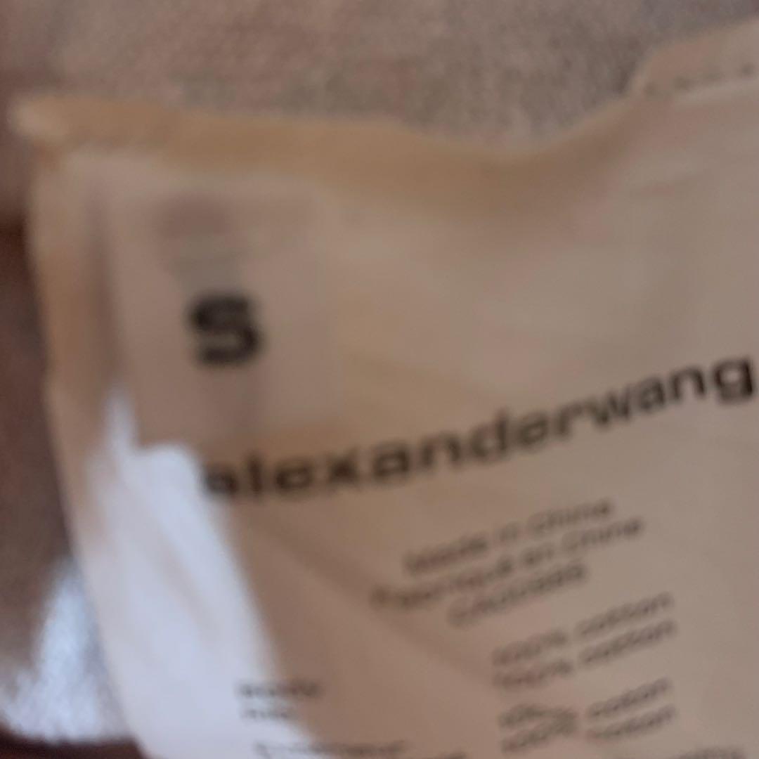 【格安、早い者勝ち!】Alexander Wang chinatown ロンT
