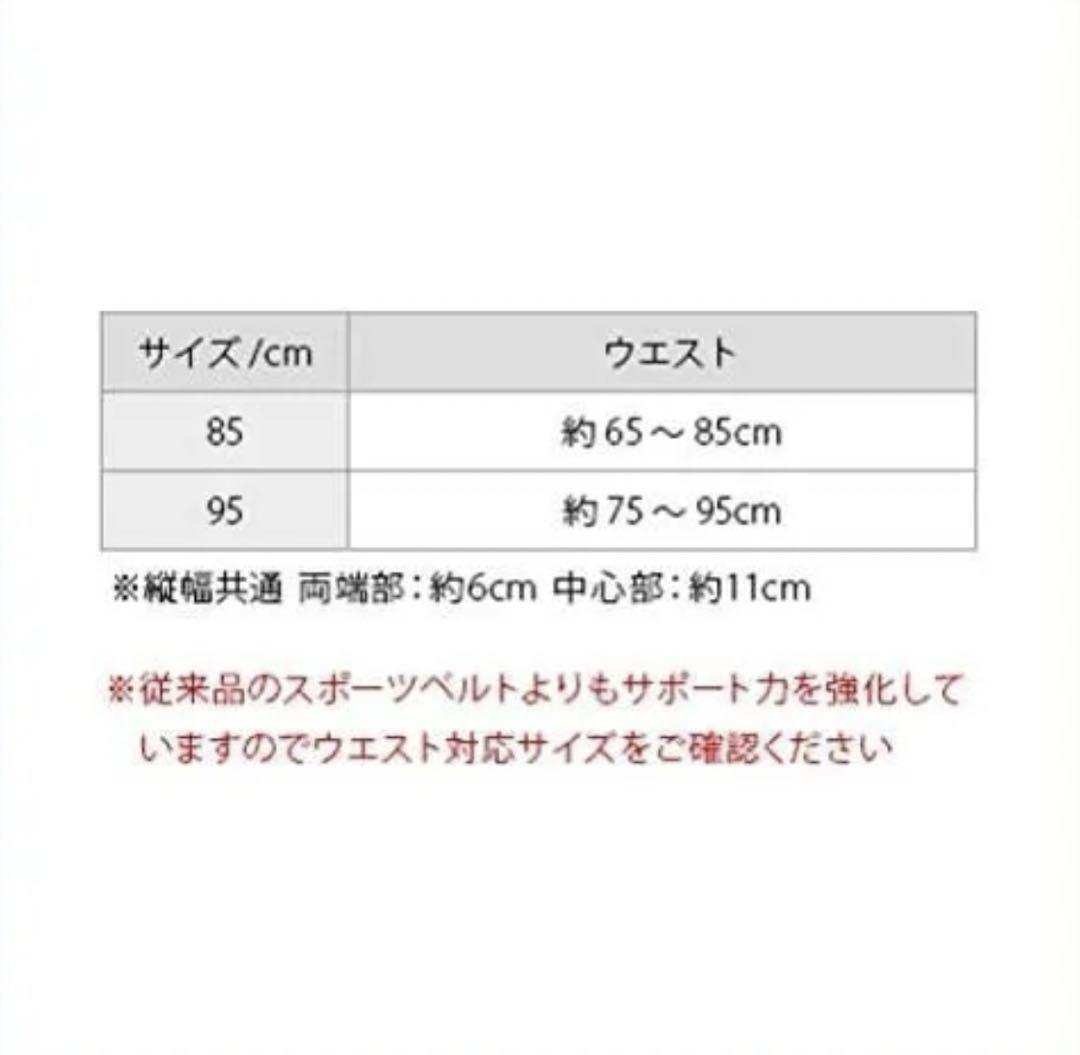 【新品】ファイテン　スポーツベルトメタックス　85
