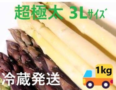 超極太 北海道産 パープル(紫)＆ホワイトアスパラ セット各500g 3Ｌサイズ