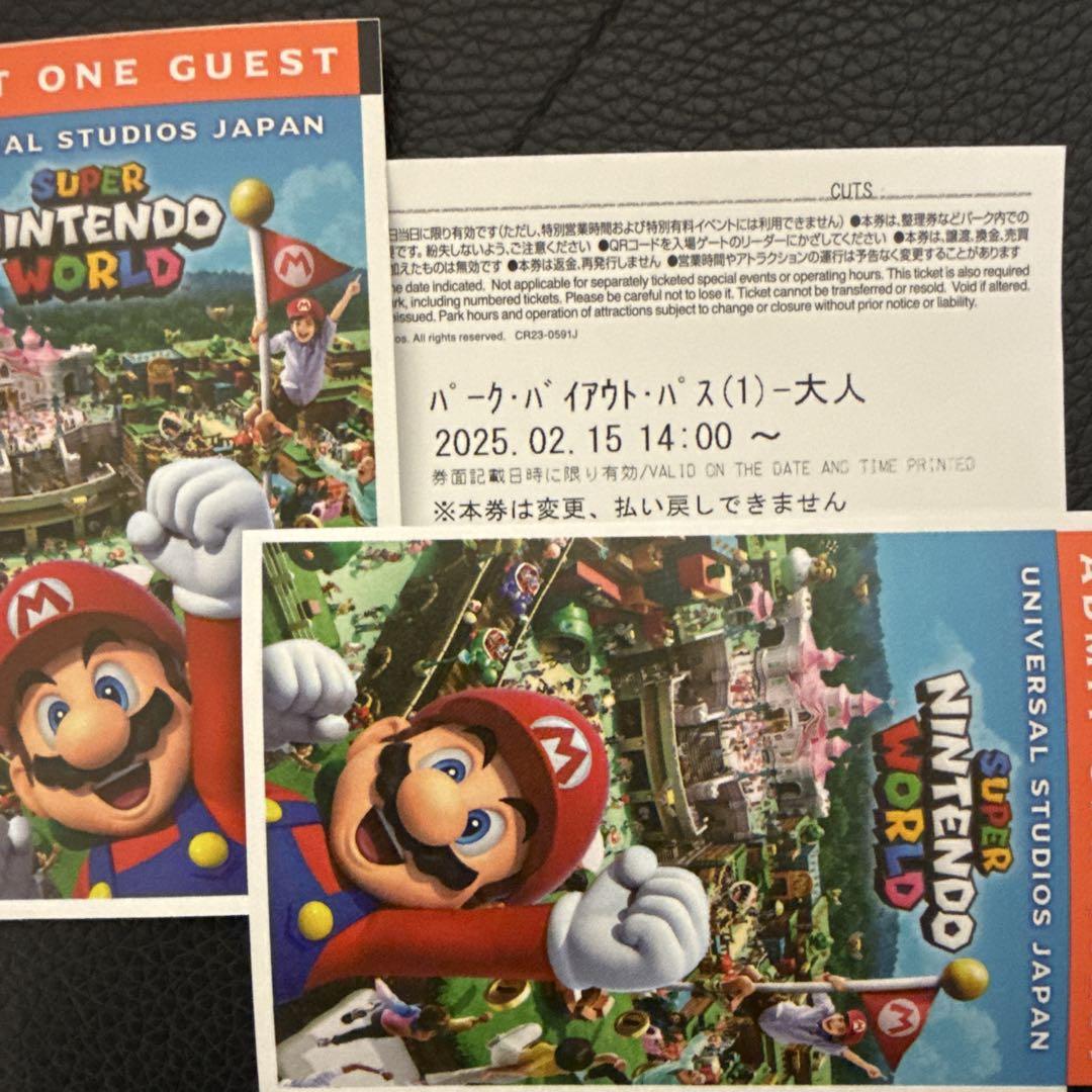 ユニバーサルスタジオジャパン usjチケット 2025年2月15日 3枚 ユニバーサルスタジオジャパン usjチケット 2025年2月15日 3枚