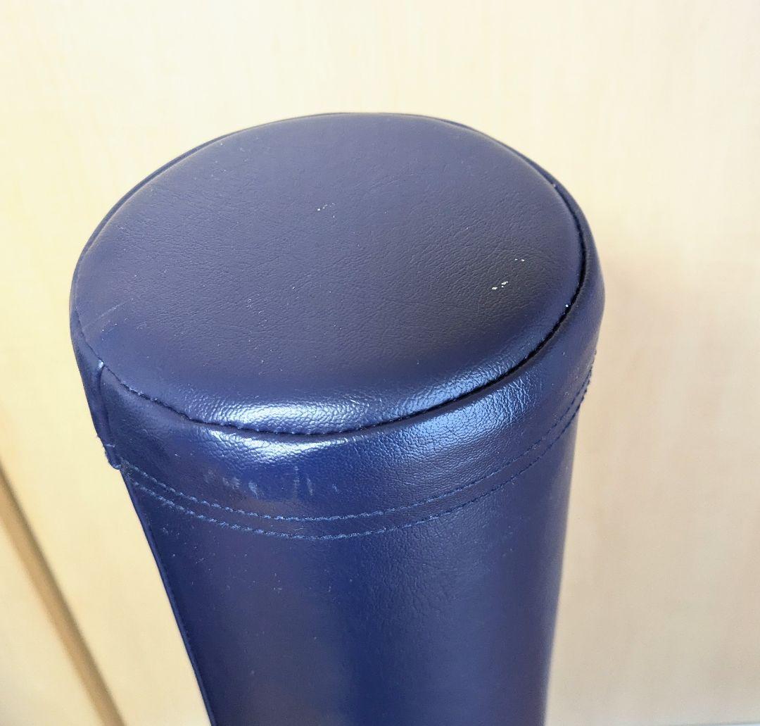 ストレッチポールEX　ネイビー　LPN　正規品