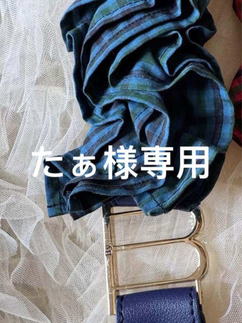 たぁ様専用
