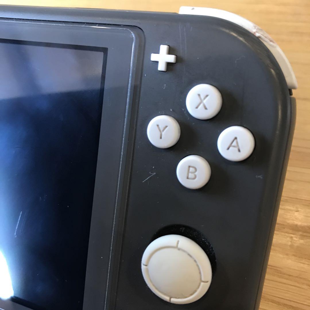 switchライト　本体