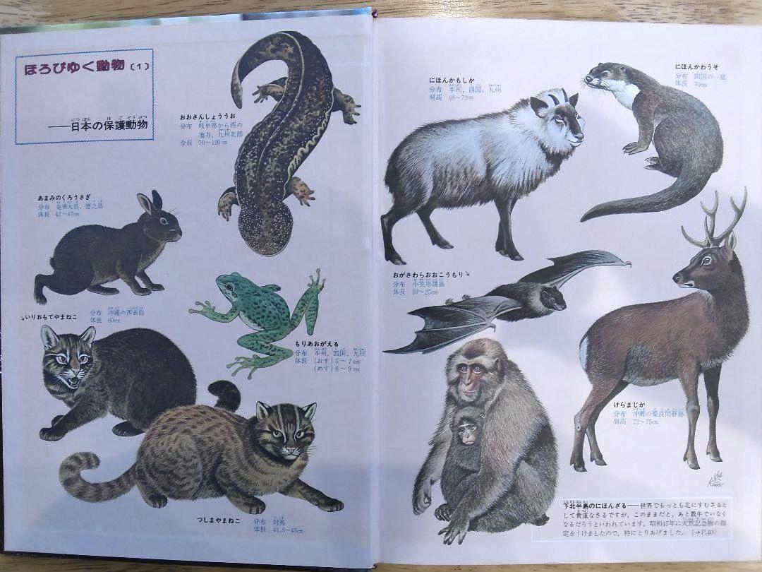 小学館の学習百科図鑑セット⑤　４冊 小学館の学習百科図鑑シリーズ 4冊セット