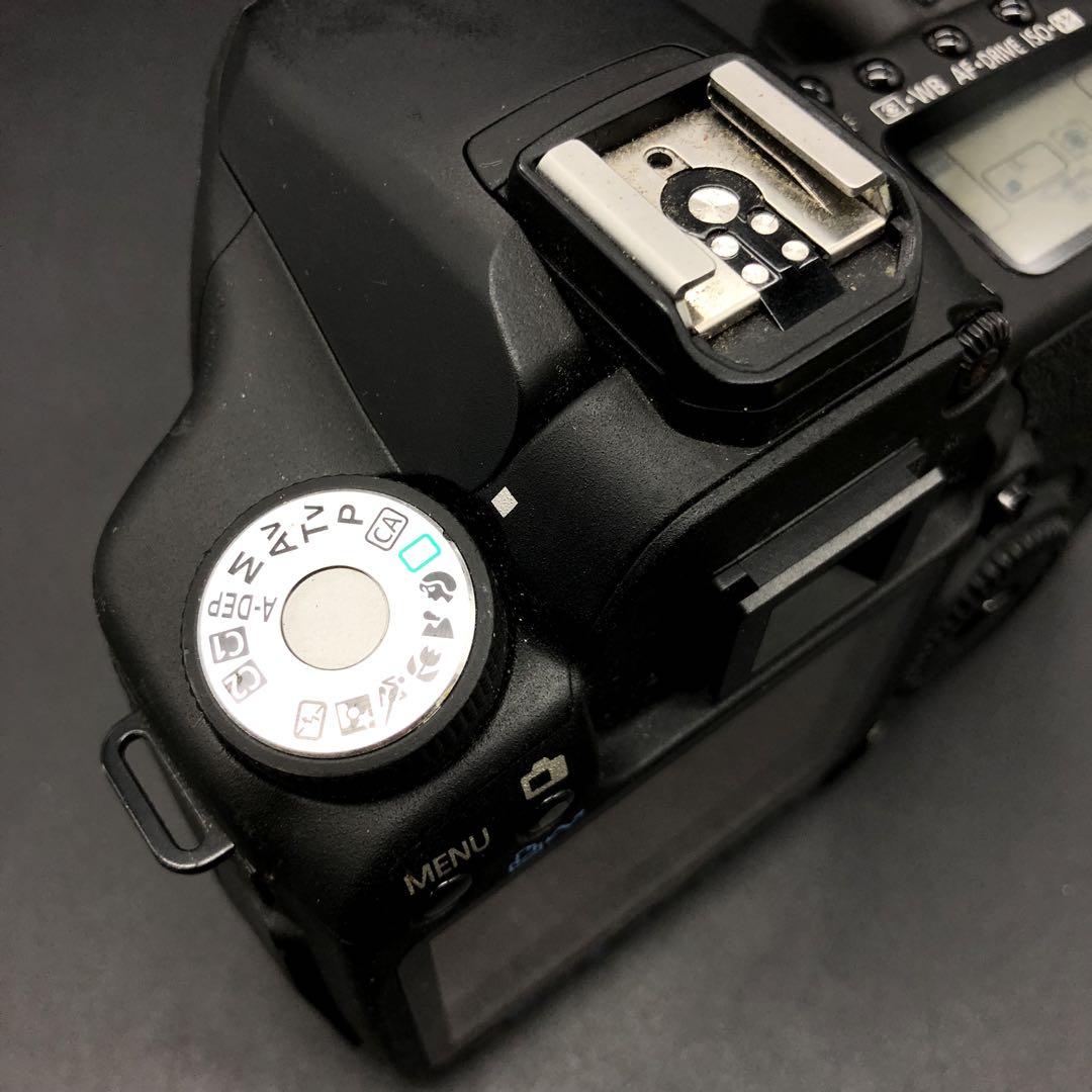 【動作確認済み】Canon EOS 50D デジタル一眼　本体　キヤノン