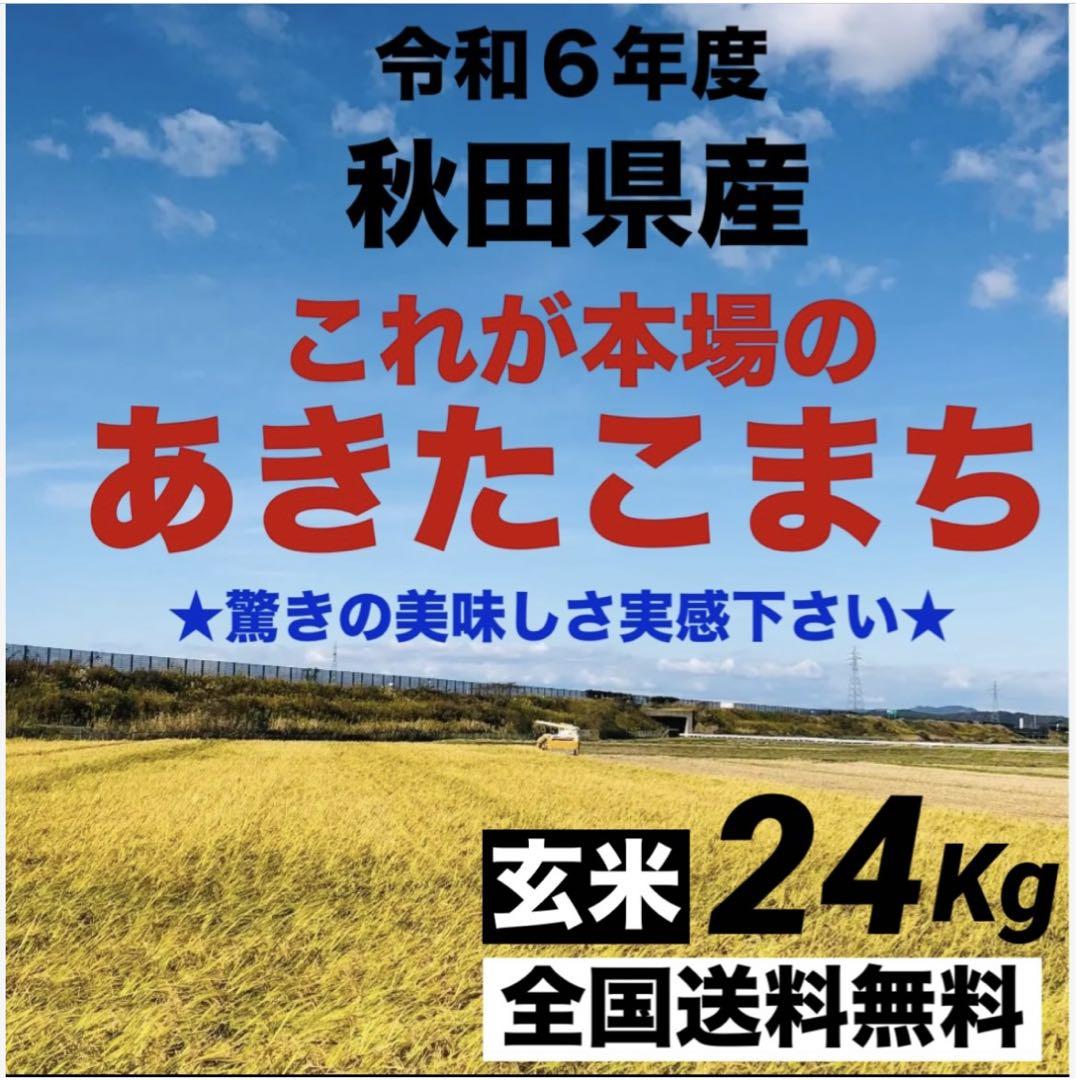 農家直送‼️令和６年度★新米★秋田県産これが本場のあきたこまち玄米24kg小分け無
