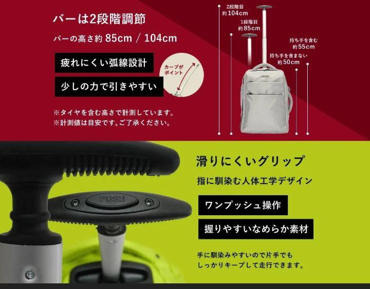 美品!leedee 2wayキャリーバッグ　ブラック