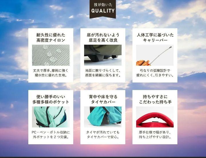 美品!leedee 2wayキャリーバッグ　ブラック