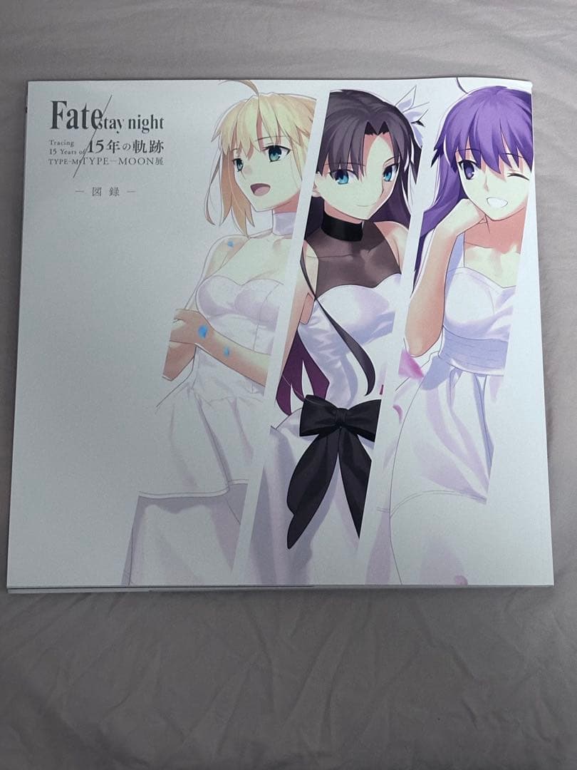 TYPE-MOON展 Fate/stay night 15年の軌跡 図録