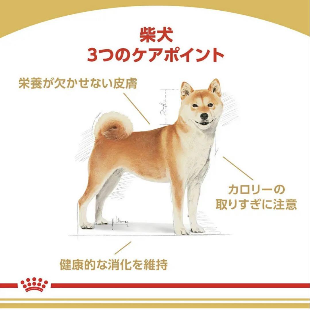 数量限定  CANIN 柴犬用ドライフード 8KG×2袋
