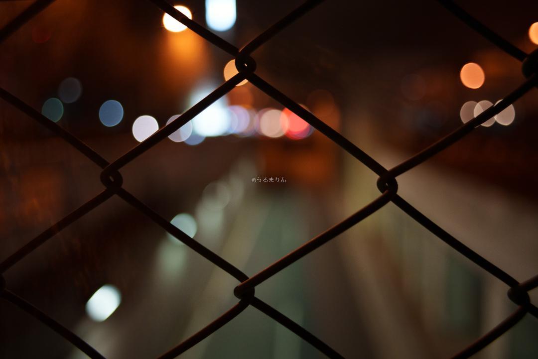 つきたん様広角ニュージェネレーション Leica Elmarit-M 28mm