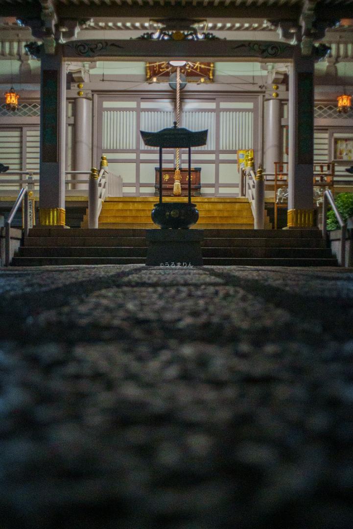 つきたん様広角ニュージェネレーション Leica Elmarit-M 28mm