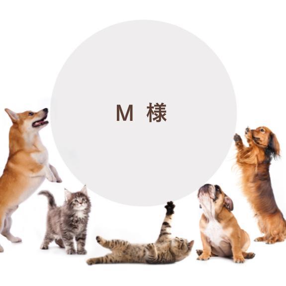 専用ページ