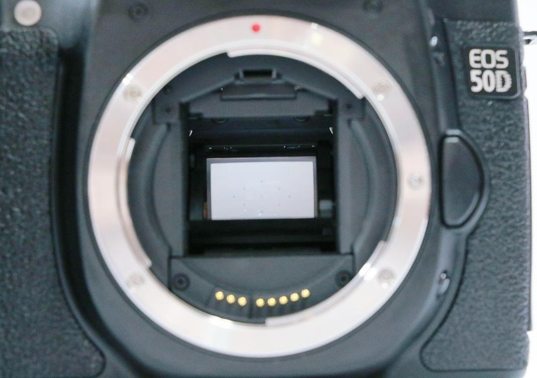 Canon EOS 50Dボディ 【美品】ジャンク品