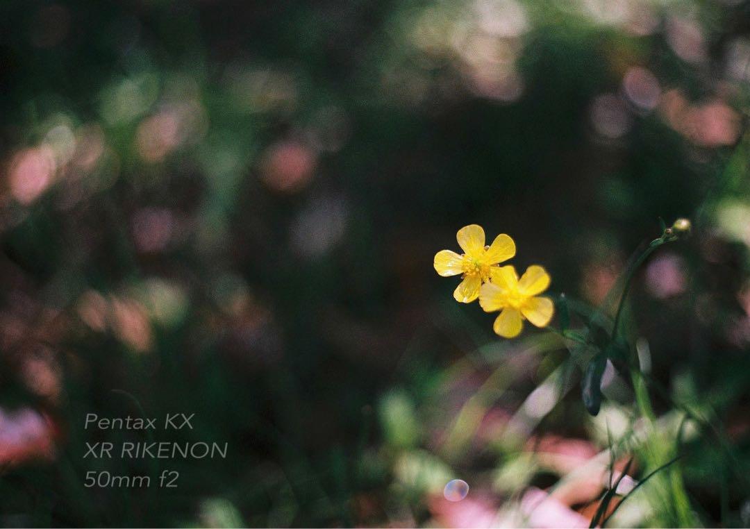 ★完動品＊美品＊初期保証付★PENTAX KX★富岡初代 XR RIKENON
