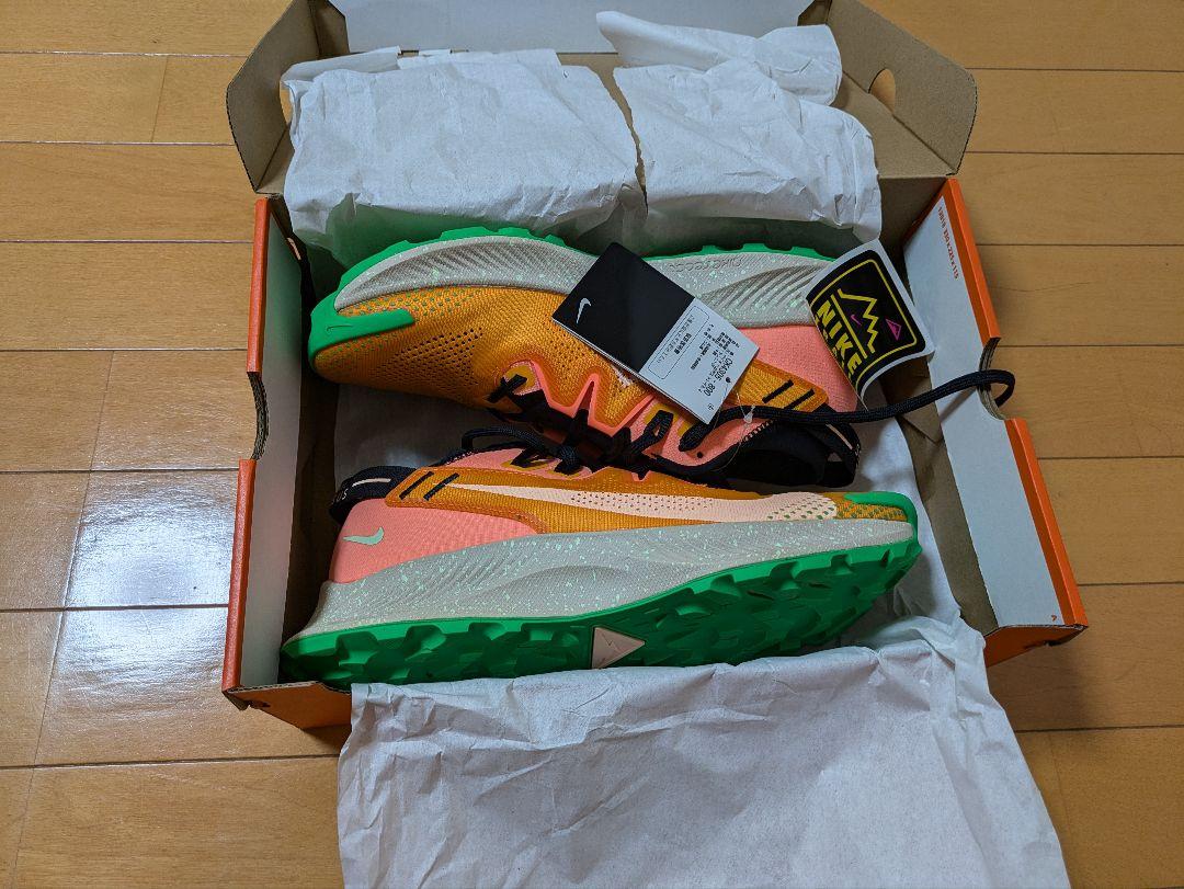 Nike ペガサス　トレイル2