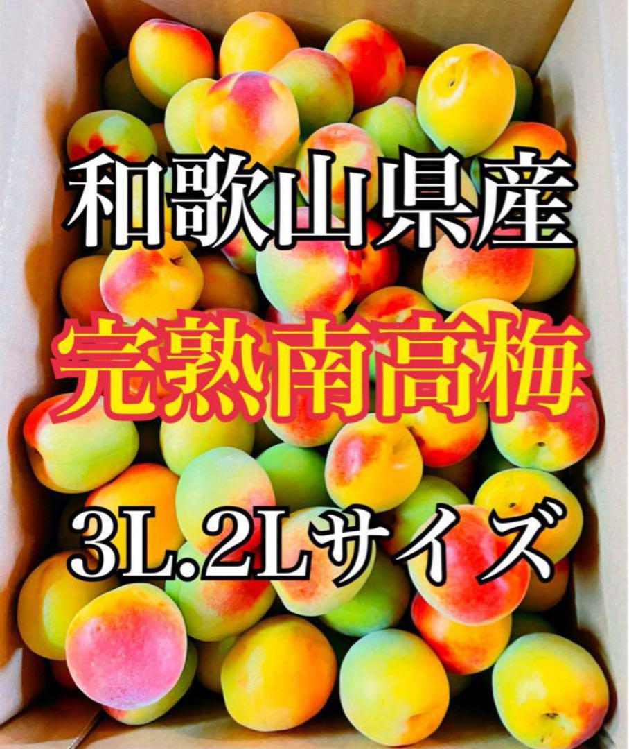 しっかり完熟‼️和歌山県産 大粒 完熟南高梅 3L2Lサイズ 3kg みかんキング