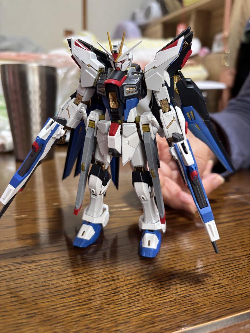 rgストライクフリーダム全塗装
