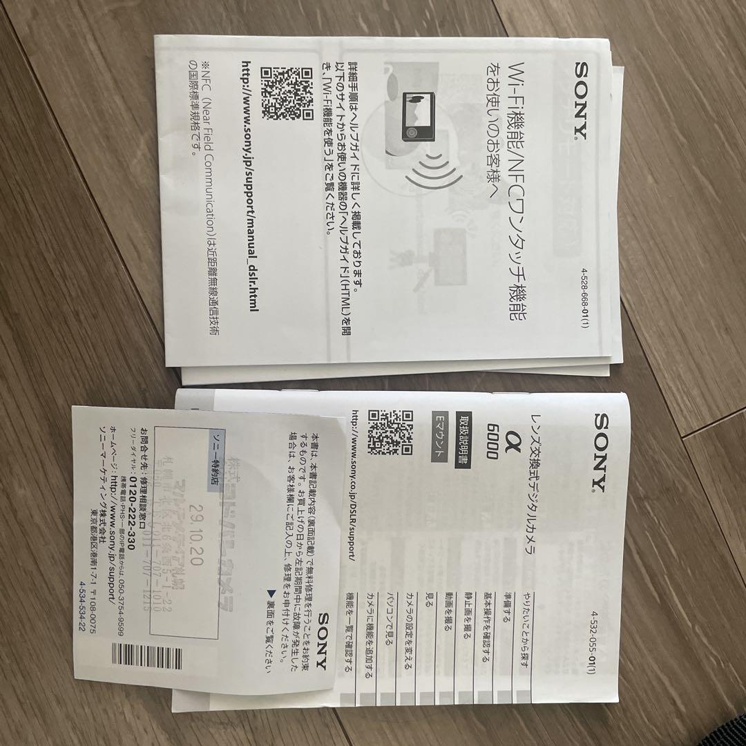 SONY α6000