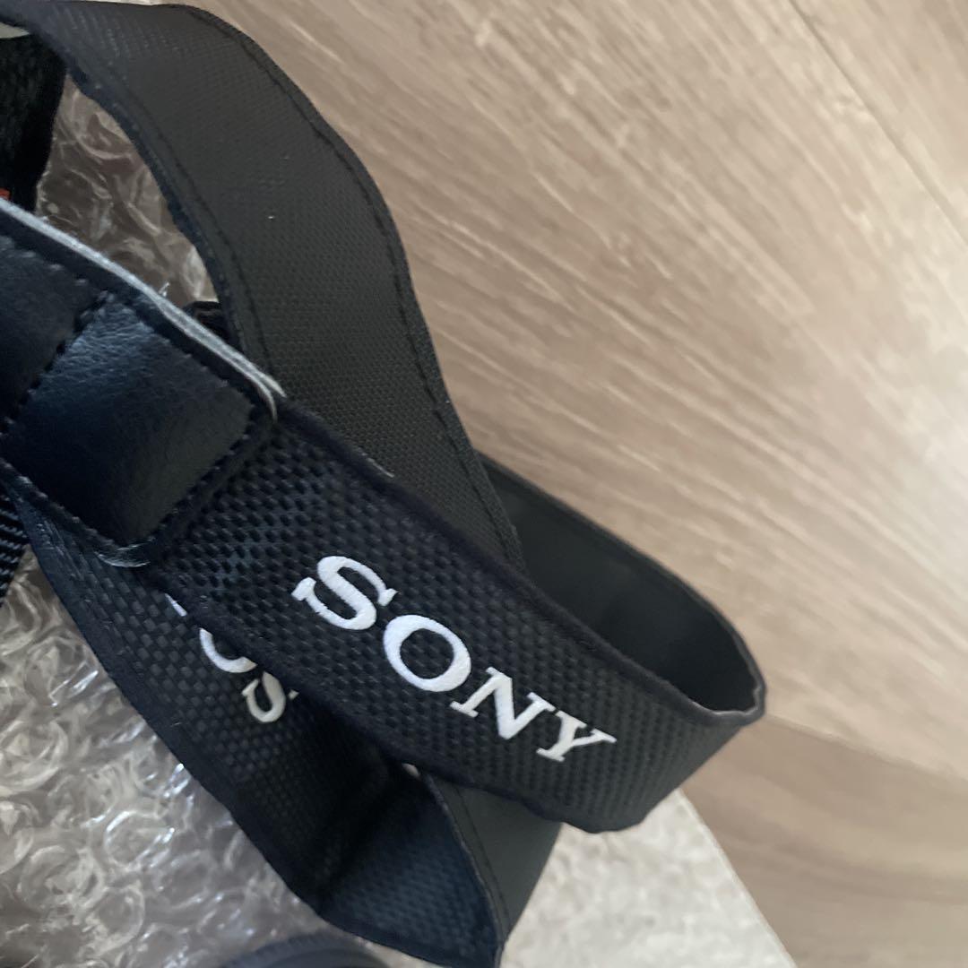 SONY α6000