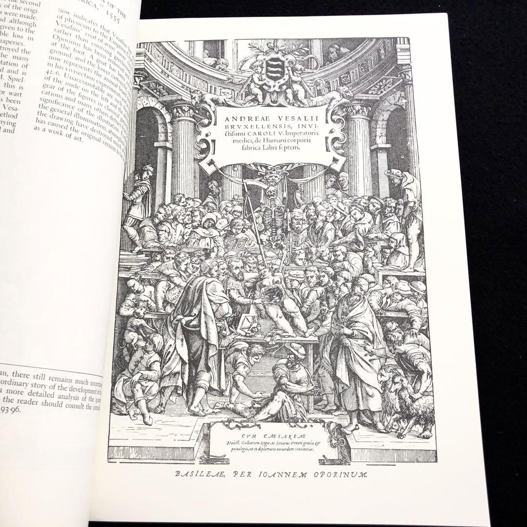 アンドレアス・ヴェサリウス 解剖学的図像 挿絵集「Vesalius