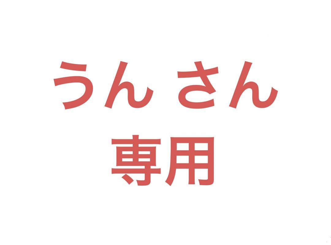 数量は多
 うんさん専用です キャラクターグッズ