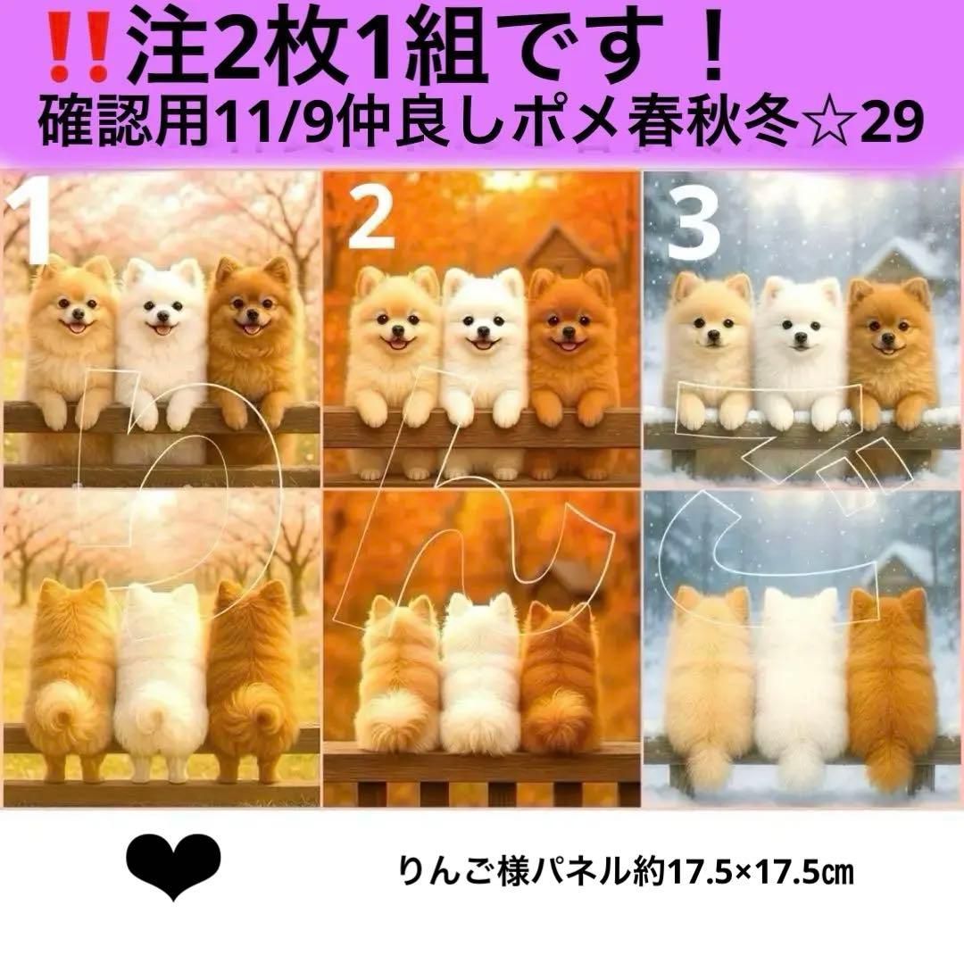 11 9仲良しポメラニアン春秋冬 29 パネル