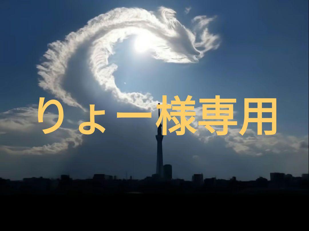 りょー様専用