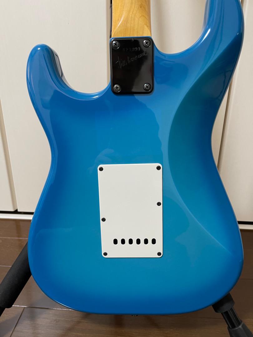 ⭐️美品　Bill Lawrence　BC0R-55B シャケモデル