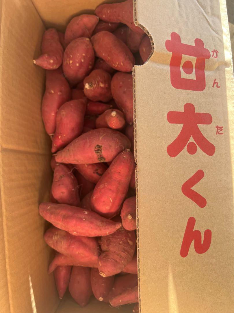 大分県産 甘太くん さつまいも 10kg 小