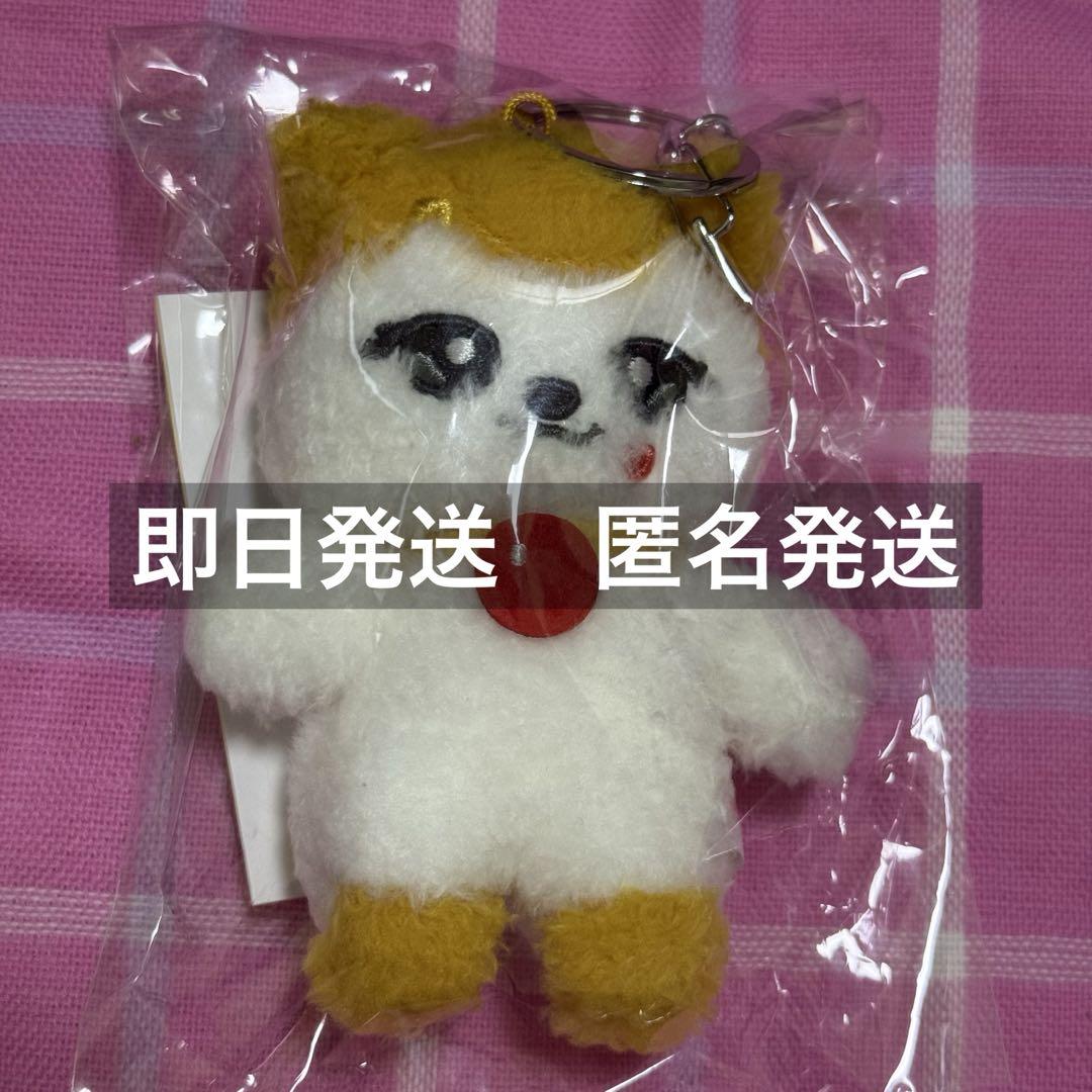 【メール便送料無料対応可】 10cm PLUSH ポップアップ MINIVE IVE キーリング メルカリ - リズ アイドル