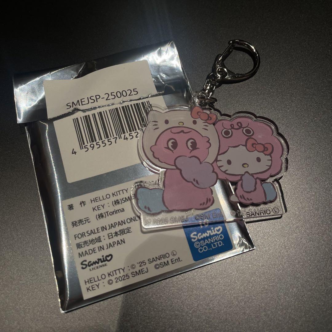 key ボクシリ キティ キーリング ボクシリ キティ コラボSHINee キーkey KITTYぬいぐるみ