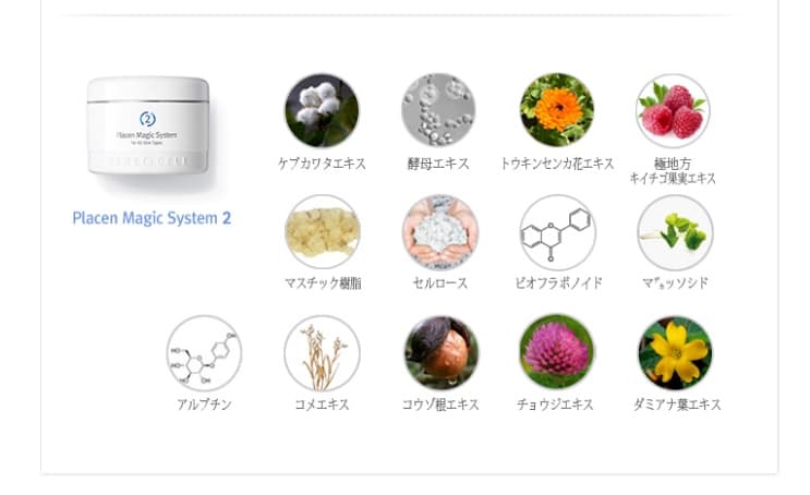 世界的に ルネセル化粧品プラセンマジックシステム2剤0ml パック フェイスマスク Www We Job Com