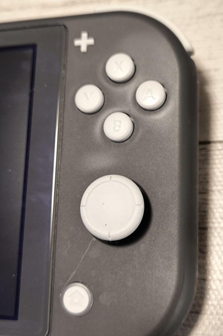 ニンテンドーSwitch Lite　本体